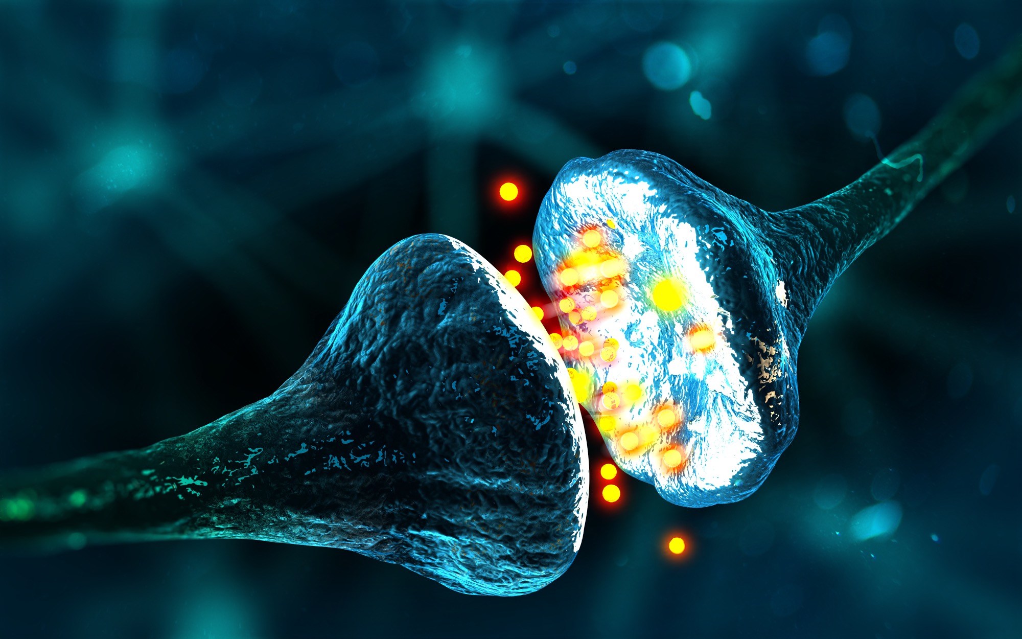 A neuron firing across a synapse